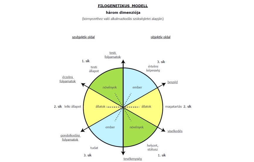 filogenetikus modell
