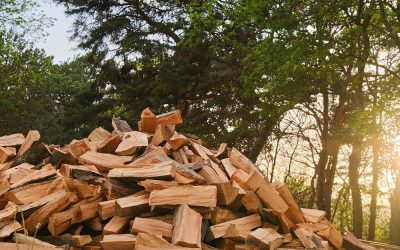 Tűzifa házhoz szállítás, a praktikus, kényelmes megoldás