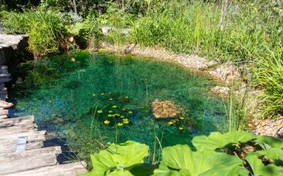 Miért fontos a kerti tó megfelelő szigetelése?